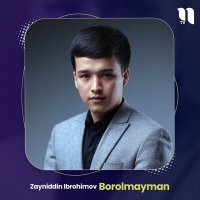 Постер песни Zayniddin Ibrohimov - Borolmayman