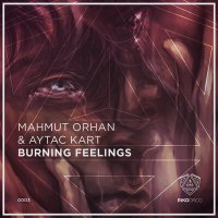 Постер песни Mahmut Orhan, Aytac Kart - Burning Feelings