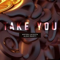 Постер песни Anton Lacosta, Aleks Marty - Take You