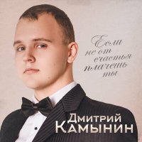 Постер песни Дмитрий Камынин - Если не от счастья плачешь ты