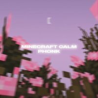 Постер песни ENVXRONMENT環境, Rage激怒 - MINECRAFT CALM PHONK