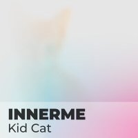 Постер песни Innerme - Kid Cat