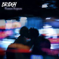 Постер песни Bridgy - Пьяными близкими