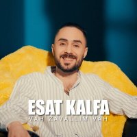 Постер песни Esat Kalfa - Vah Zavallım Vah