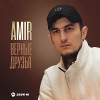 Постер песни Amir - Верные друзья