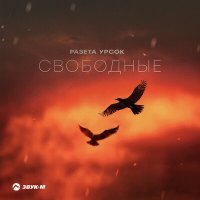 Постер песни Разета Урсок - Свободные