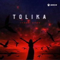 Постер песни TOLIKA - Гуляй душа