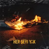 Постер песни ALİHAN - Her Şeyi Yak