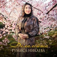 Постер песни Румиса Никаева - Делалойша