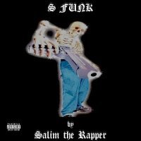 Постер песни Salim the Rapper - S FUNK