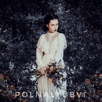 Постер песни POLNALYUBVI - Кометы (Илья Карюкин Cover)