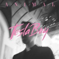 Постер песни Tesla Boy - Animal