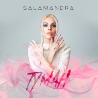 Постер песни Salamandra - Туман (DJ Simon Rise Radio Edit)