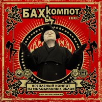 Постер песни Бахыт Компот - Бухгалтер Иванов