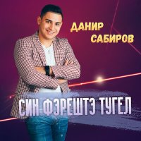 Постер песни Данир Сабиров - Син фэрештэ тугел