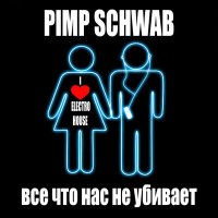 Постер песни Pimp Schwab - Всё. что нас не убивает (Extended Club Mix)