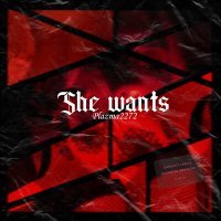 Постер песни Plazma2272 - She Wants