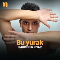 Постер песни Bahriddin Umar - Bu yurak