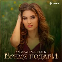 Постер песни Амиран Мыртаев - Время подари