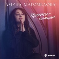 Постер песни Амина Магомедова - Прости - прощай (Dj Ikonnikov Remix)