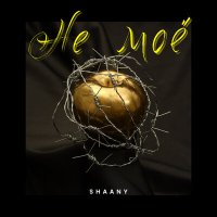 Постер песни ShaAny - Не моё