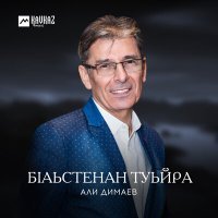 Постер песни Али Димаев - Йинчу дийнахь