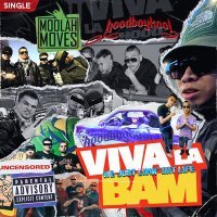 Постер песни Moolah Moves, hoodboykool - Viva la Bam