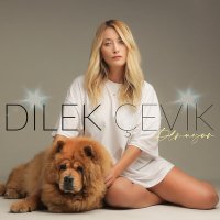 Постер песни Dilek Çevik - Olmuyor (Akustik)