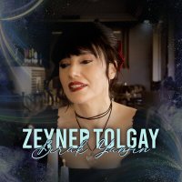 Постер песни Zeynep Tolgay - Bırak Yansın