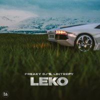 Постер песни Freaky DJs, Lintrepy - LEKO
