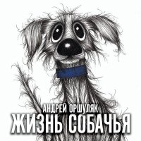 Постер песни Андрей Оршуляк - Душа и алкоголь