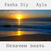 Постер песни Pasha Diy, AYLA - Незачем знать