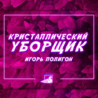 Постер песни Игорь Полигон - Кристаллический уборщик (KalashnikoFF Remix 2024)
