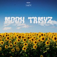 Постер песни sary - Moon Tamyz