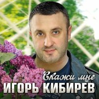 Постер песни Игорь Кибирев - Скажи мне