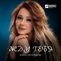 Постер песни Амина Магомедова - Муки любви