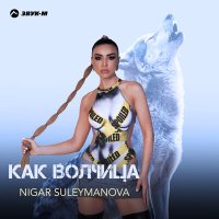 Постер песни Nigar Suleymanova - Волчица