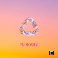 Постер песни DJ FT - I'm Sorry