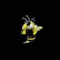 Постер песни The Iron Bees - Танцуй локтями