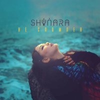 Постер песни SHYNARA - Не сломлен