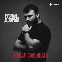 Постер песни Руслан Добрый - Начал забывать