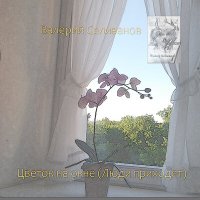 Постер песни Валерий Селиванов - Цветок на окне (Люди приходят) (Edit Version)