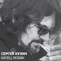 Постер песни Сергей Кузин - Я б её бы