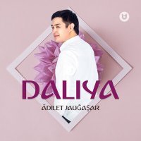 Постер песни Adilet Jaygashar - Daliya