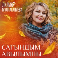 Постер песни Лилия Муллагалиева - Сагындым авылымны