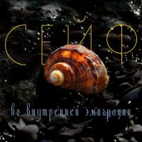 Постер песни Сейф - Оккупант-ампутант