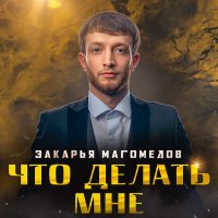 Постер песни Закарья Магомедов - Что делать мне