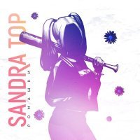 Постер песни Sandra Top - Ромашки