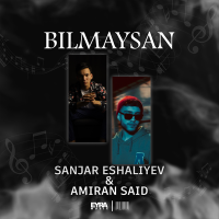 Постер песни Sanjar Eshaliyev, Amiran Said - Bilmaysan