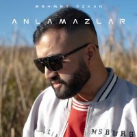 Постер песни Mehmet Özkan - Anlamazlar